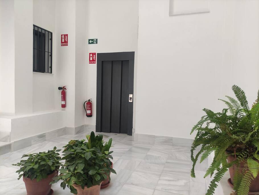Calm & Design Suite Sevilla Buitenkant foto